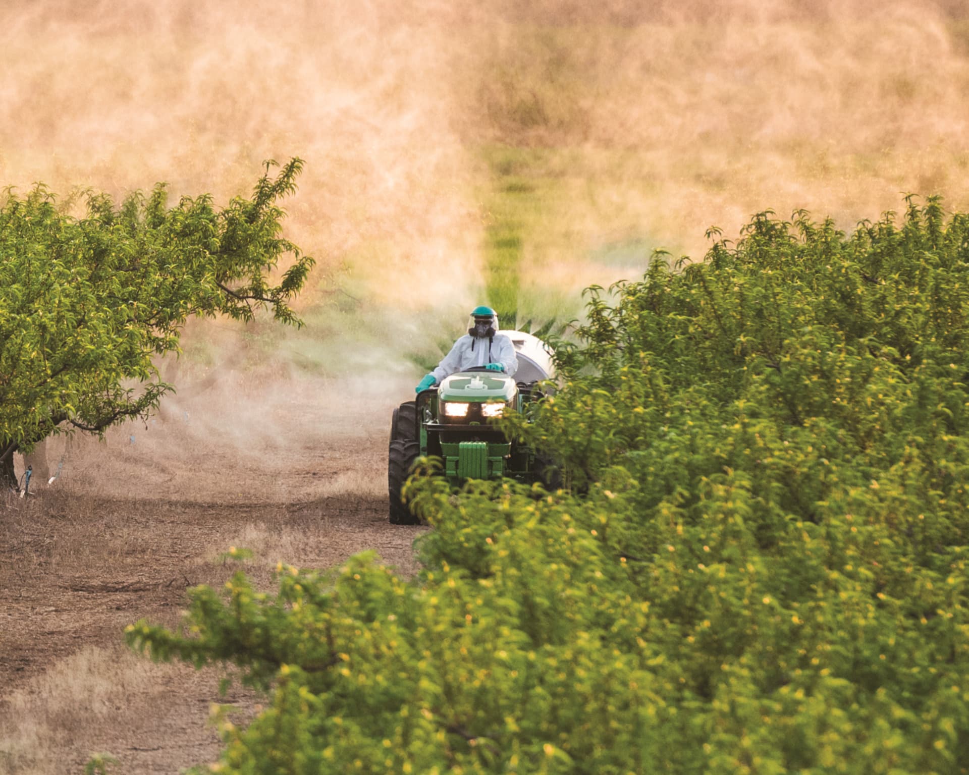 A specialty tractor sprays crops on an orchard in California.